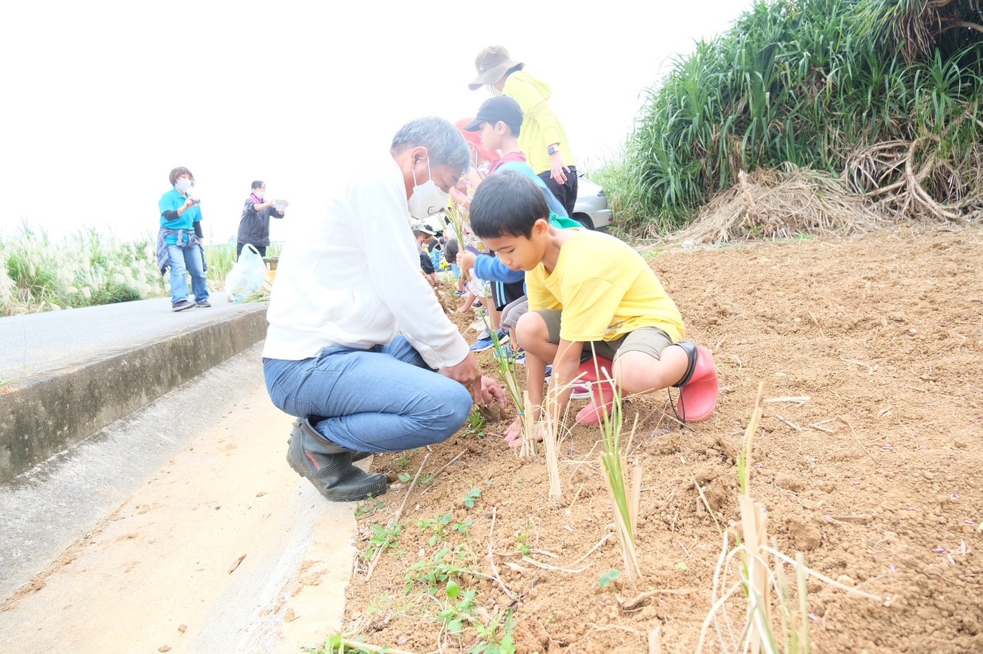 畑で植え付け作業を行う人々
